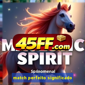 match perfeito significado